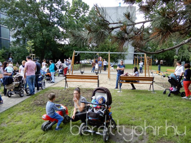 Életfát ültettünk 04